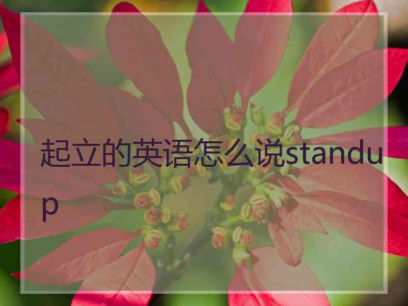 起立的英语怎么说standup