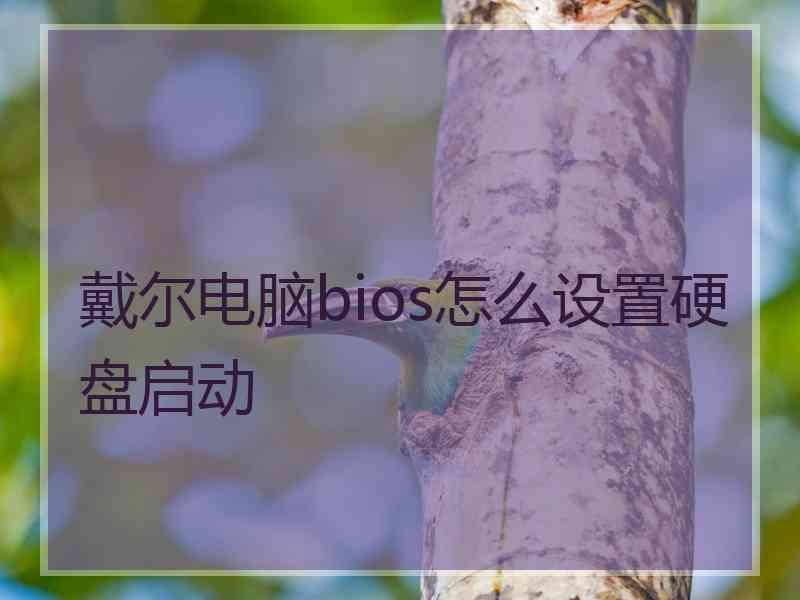 戴尔电脑bios怎么设置硬盘启动