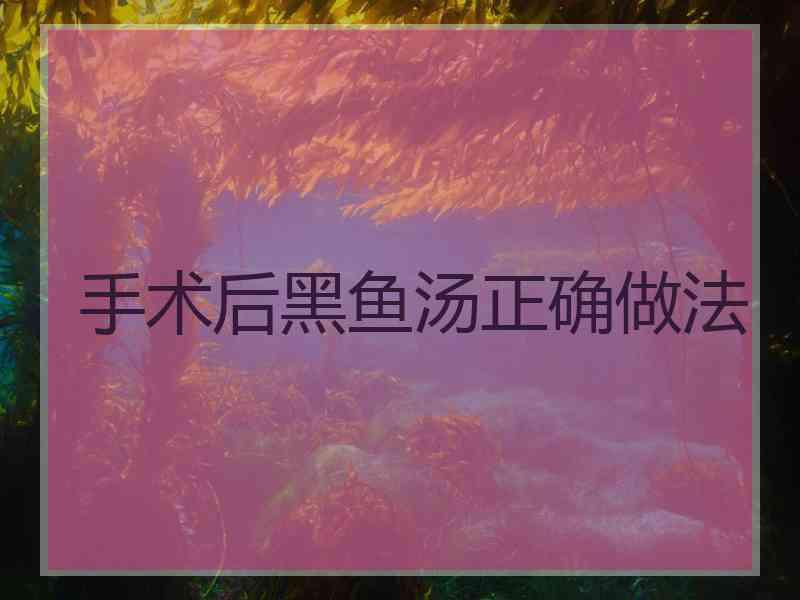 手术后黑鱼汤正确做法