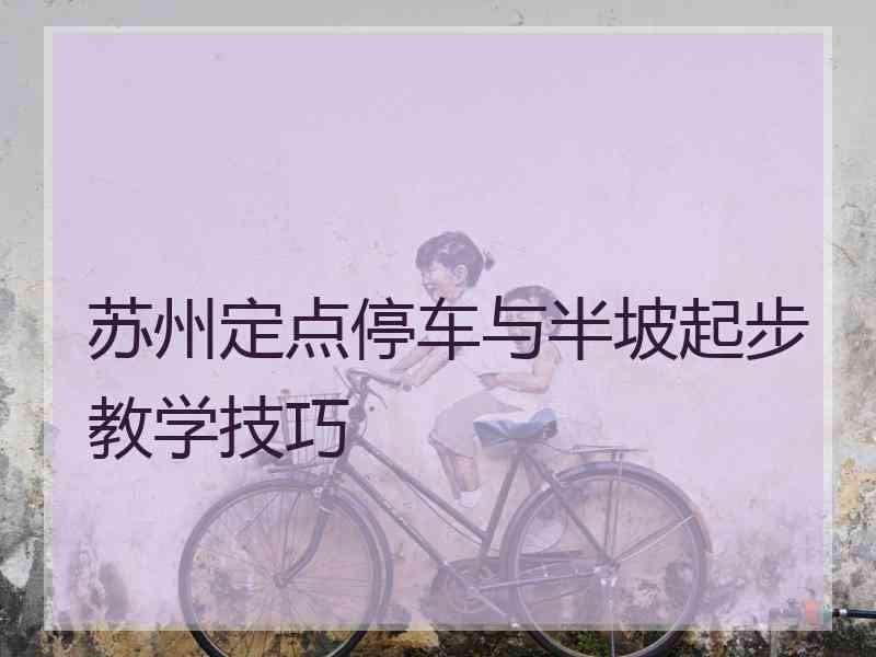 苏州定点停车与半坡起步教学技巧