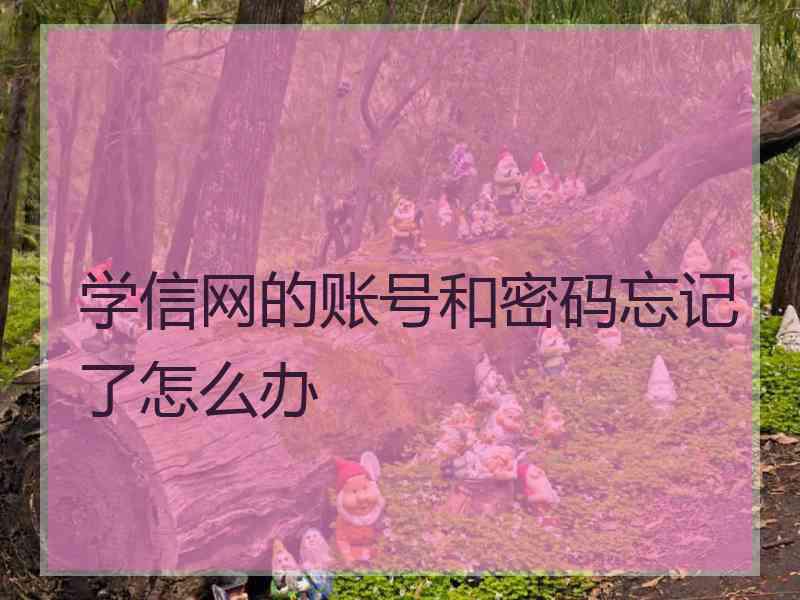 学信网的账号和密码忘记了怎么办