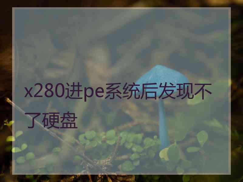 x280进pe系统后发现不了硬盘