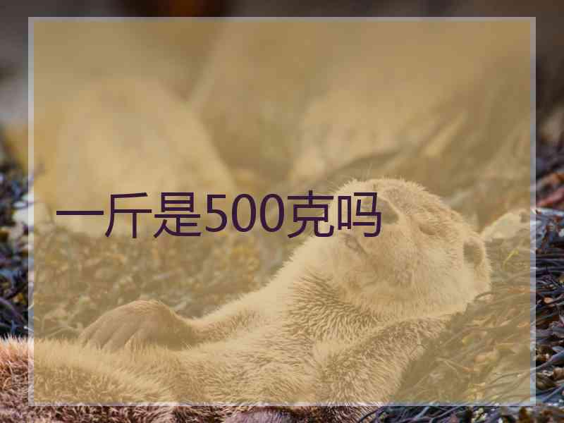 一斤是500克吗