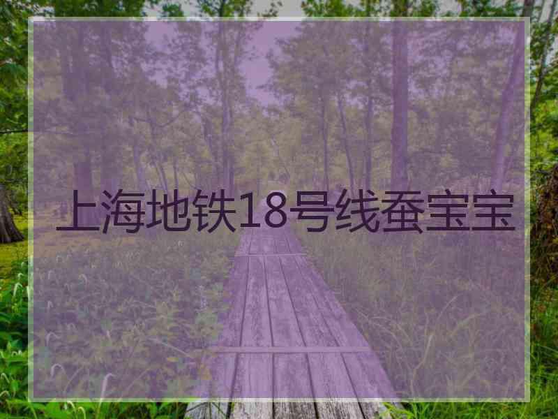 上海地铁18号线蚕宝宝