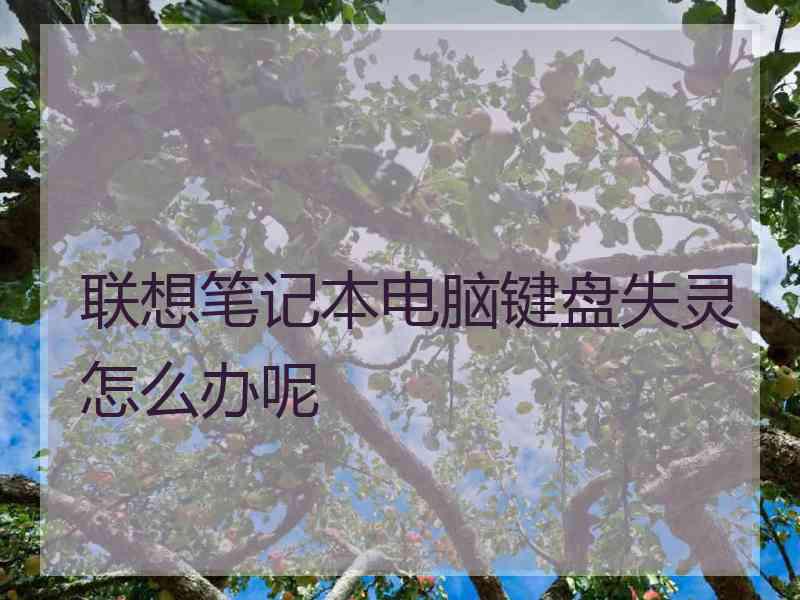 联想笔记本电脑键盘失灵怎么办呢