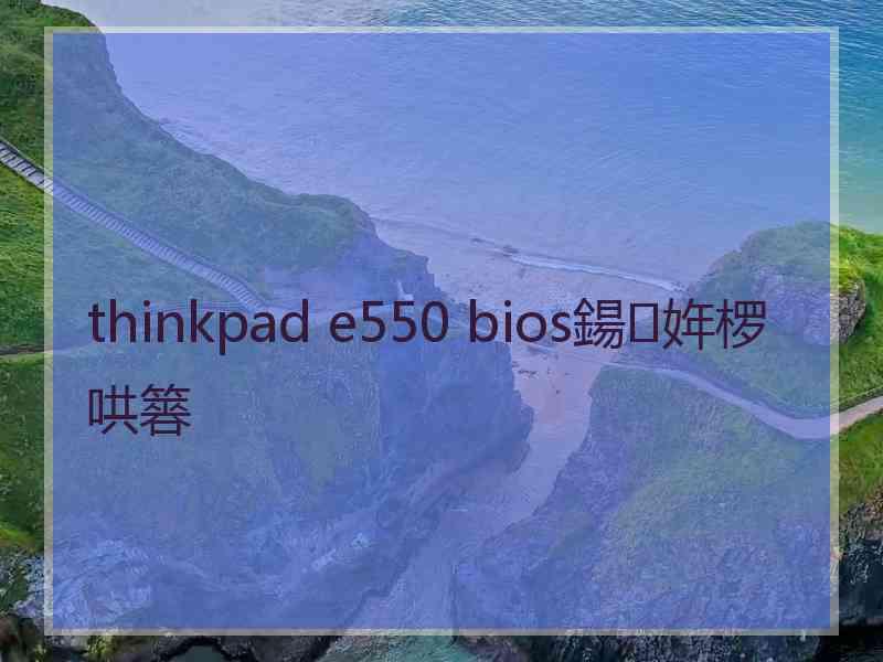 thinkpad e550 bios鍚姩椤哄簭