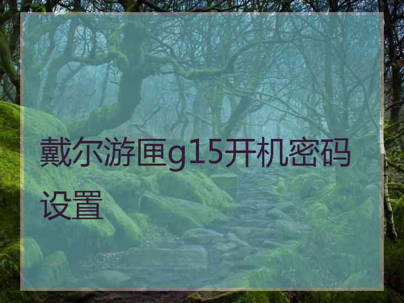 戴尔游匣g15开机密码设置