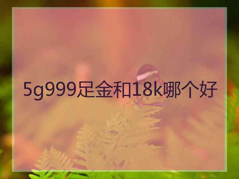 5g999足金和18k哪个好