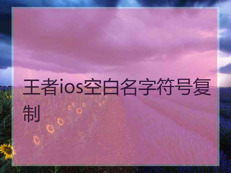 王者ios空白名字符号复制