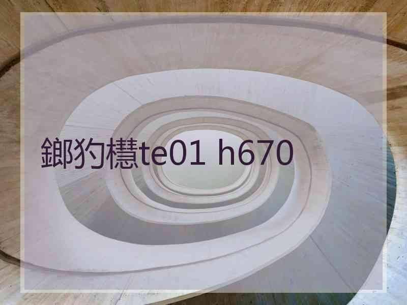 鎯犳櫘te01 h670