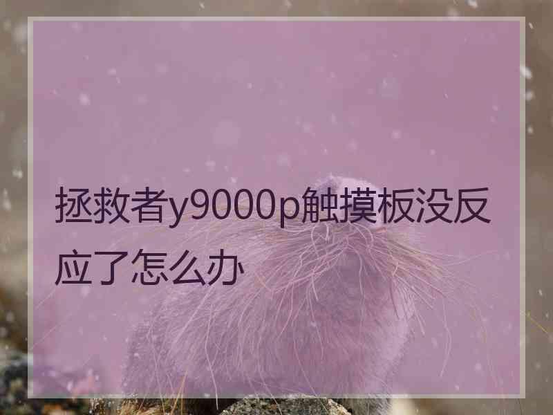 拯救者y9000p触摸板没反应了怎么办