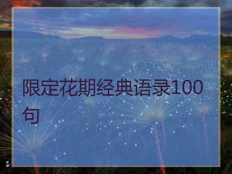 限定花期经典语录100句