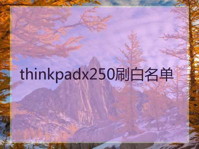 thinkpadx250刷白名单