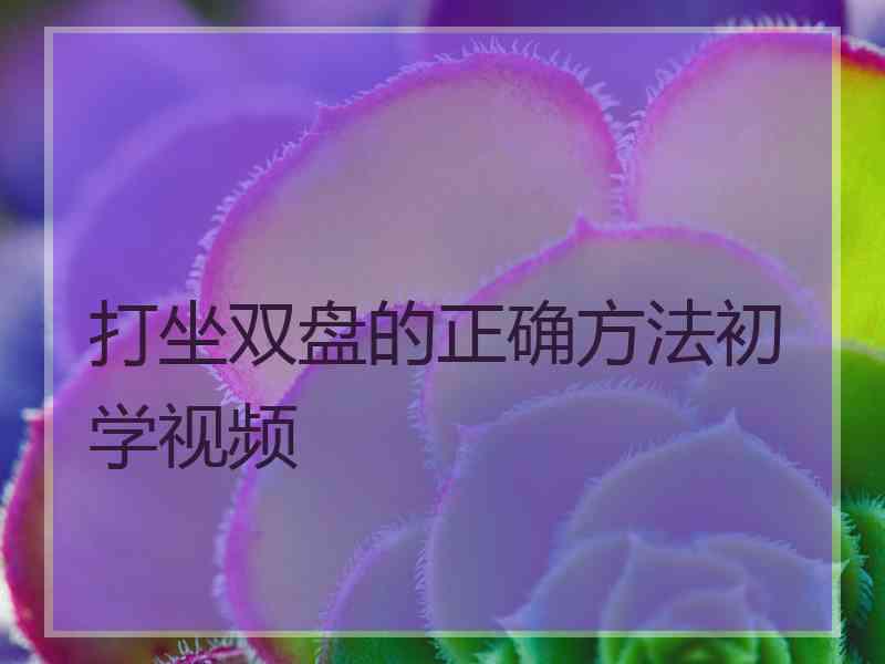 打坐双盘的正确方法初学视频