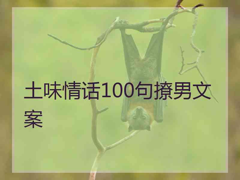 土味情话100句撩男文案