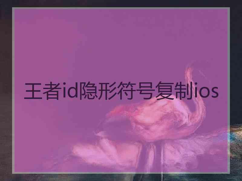 王者id隐形符号复制ios