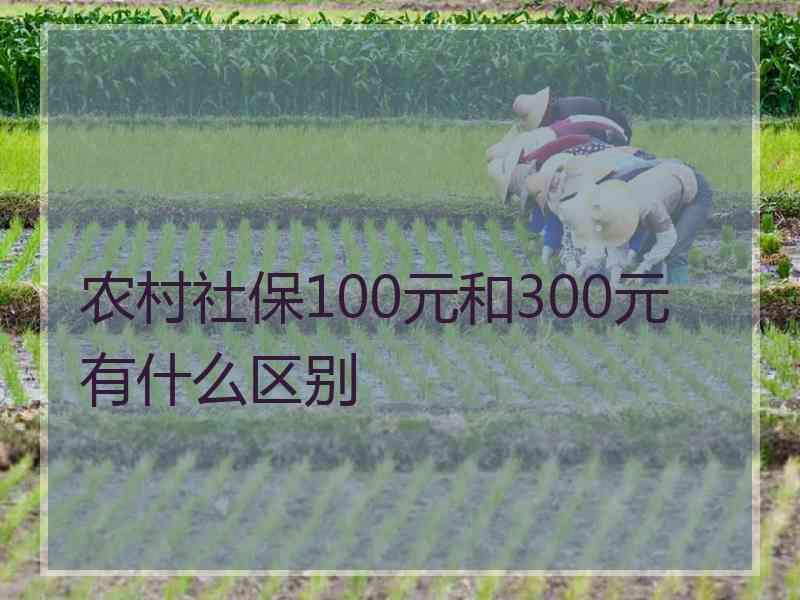 农村社保100元和300元有什么区别