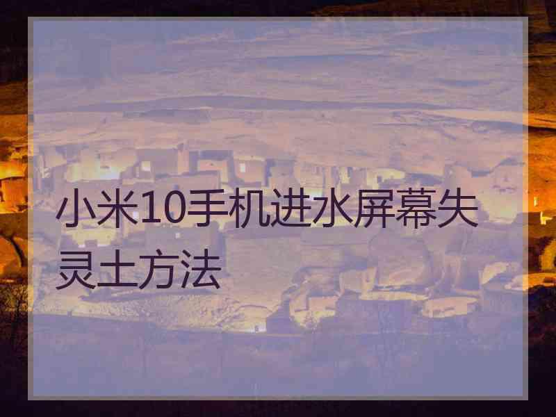 小米10手机进水屏幕失灵土方法