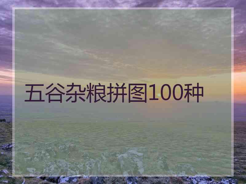 五谷杂粮拼图100种