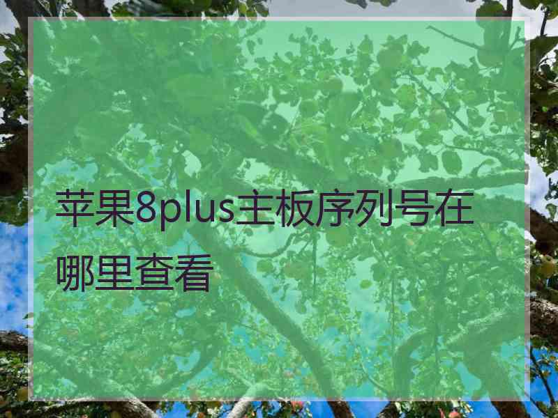 苹果8plus主板序列号在哪里查看