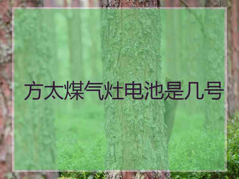 方太煤气灶电池是几号