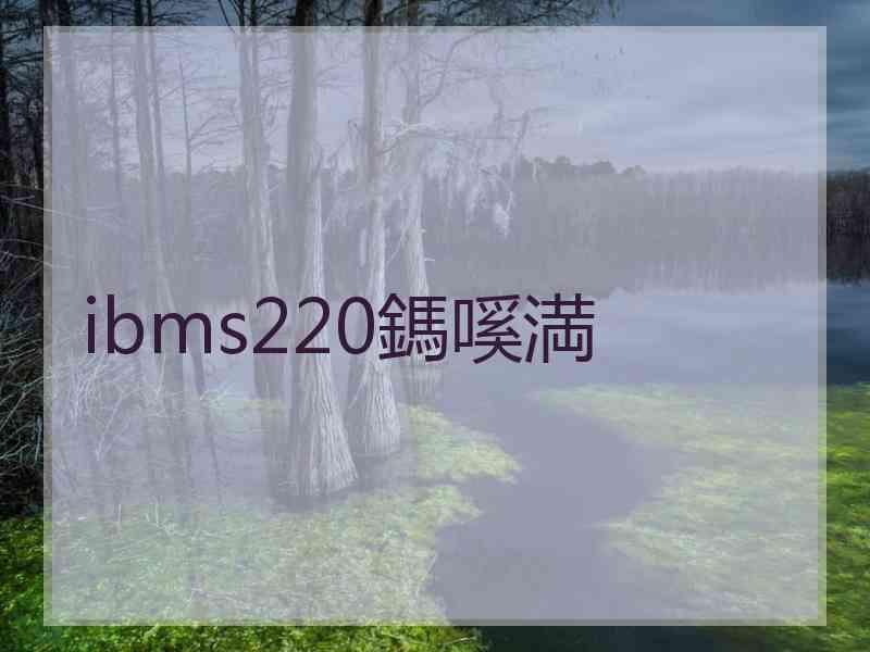 ibms220鎷嗘満