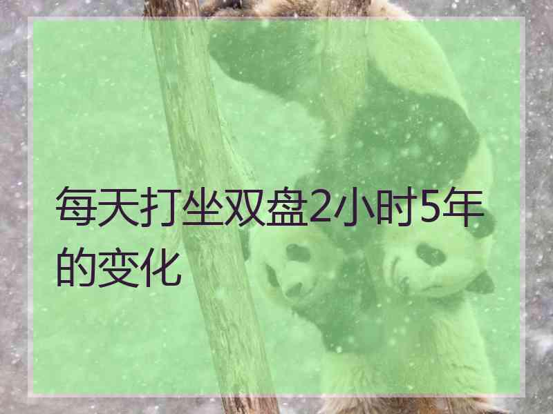 每天打坐双盘2小时5年的变化