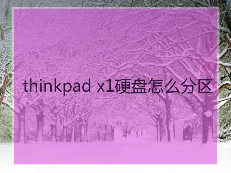 thinkpad x1硬盘怎么分区