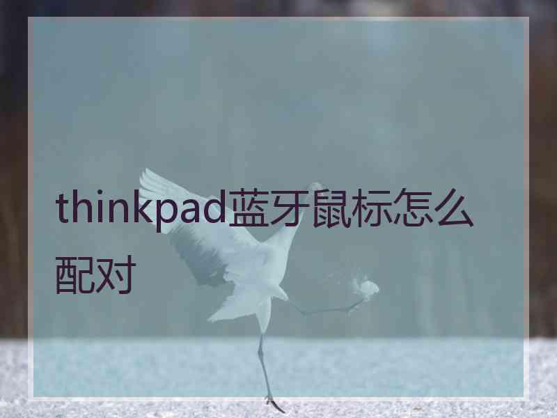 thinkpad蓝牙鼠标怎么配对