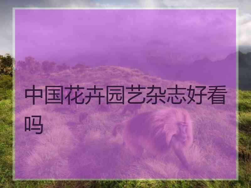 中国花卉园艺杂志好看吗