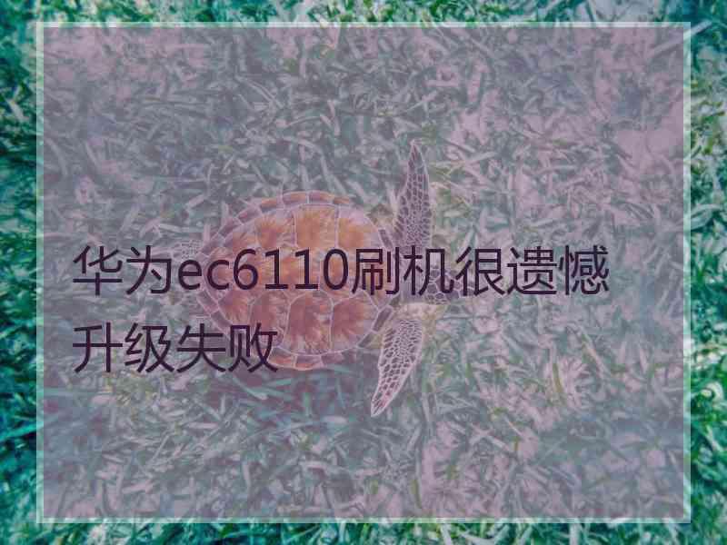 华为ec6110刷机很遗憾升级失败