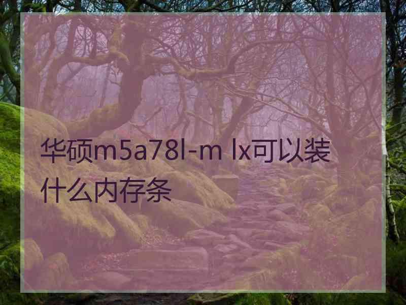 华硕m5a78l-m lx可以装什么内存条