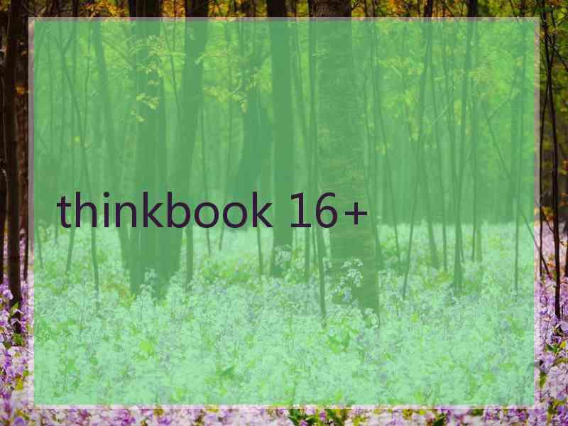 thinkbook 16+