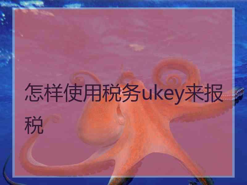 怎样使用税务ukey来报税