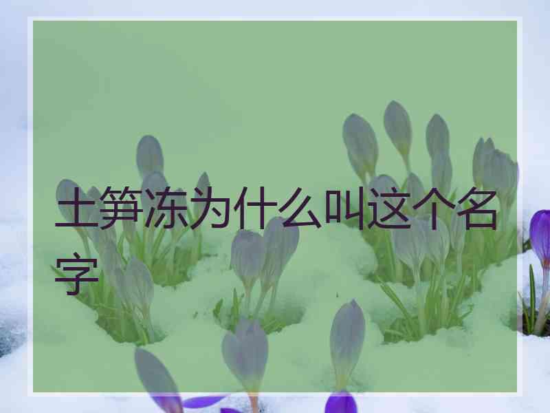 土笋冻为什么叫这个名字