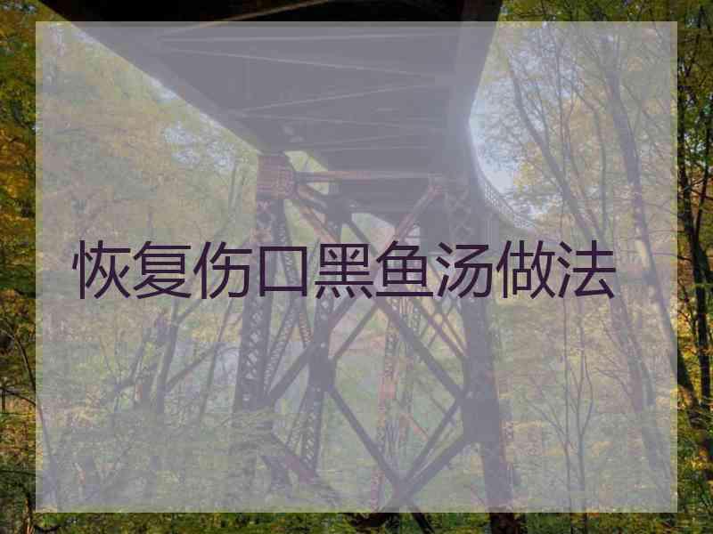 恢复伤口黑鱼汤做法