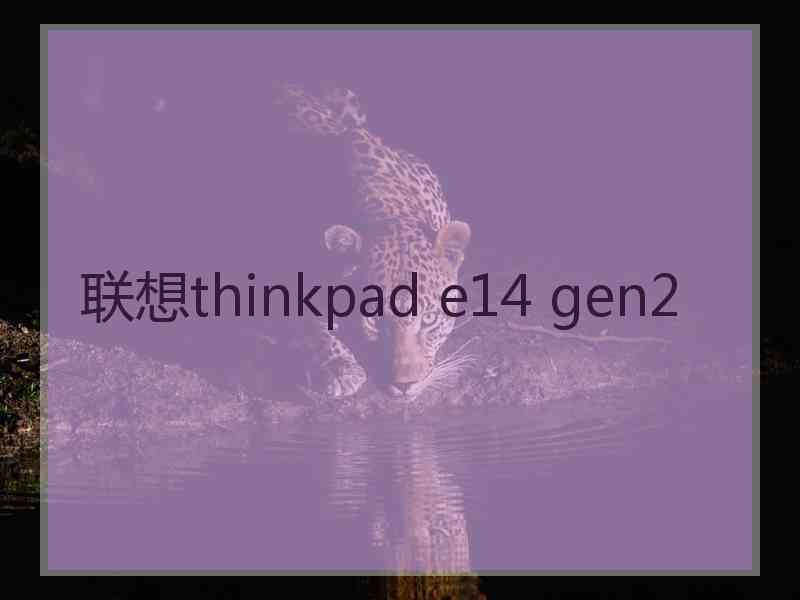 联想thinkpad e14 gen2