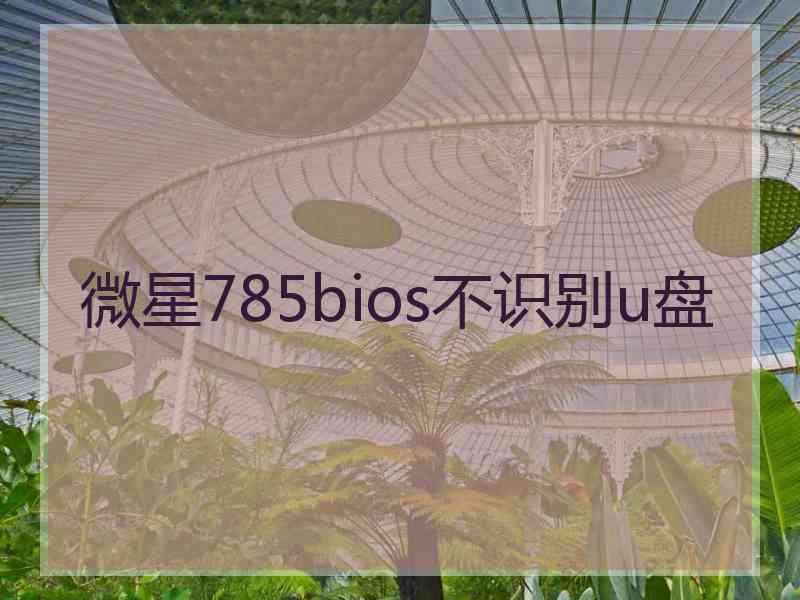 微星785bios不识别u盘