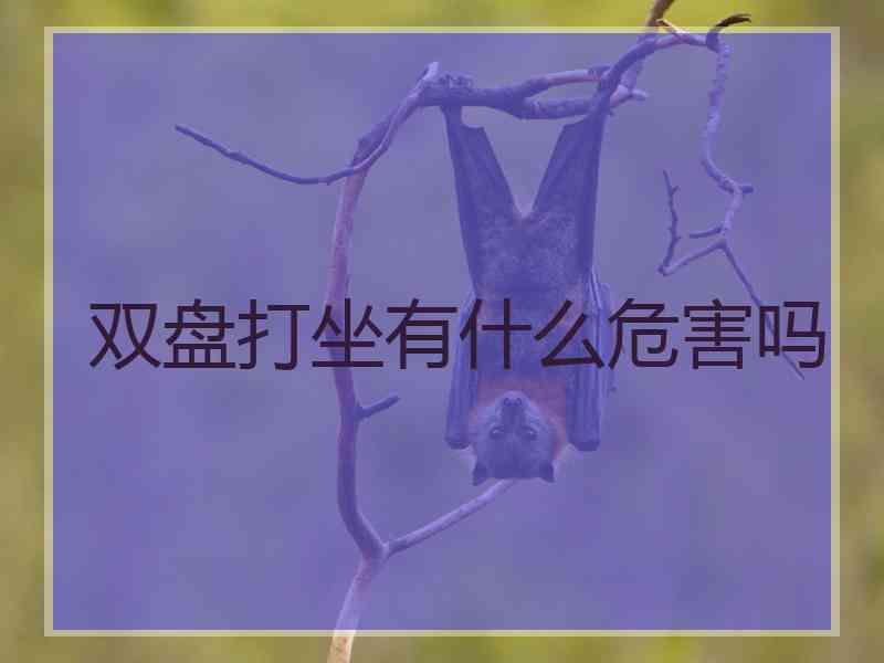 双盘打坐有什么危害吗