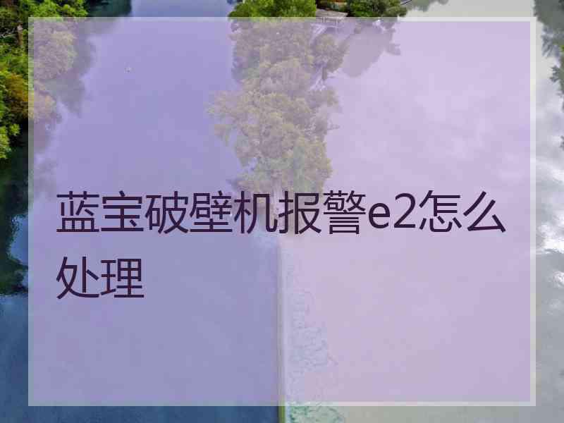 蓝宝破壁机报警e2怎么处理