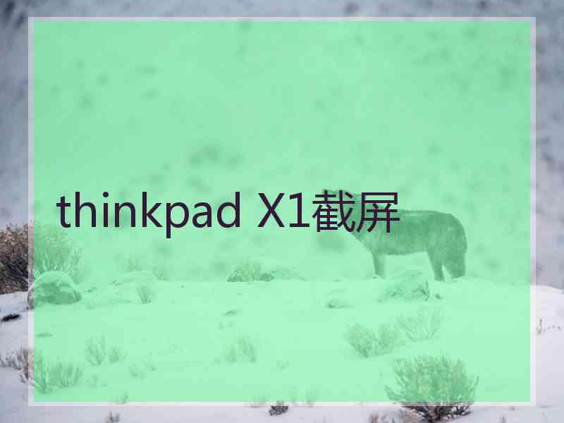 thinkpad X1截屏