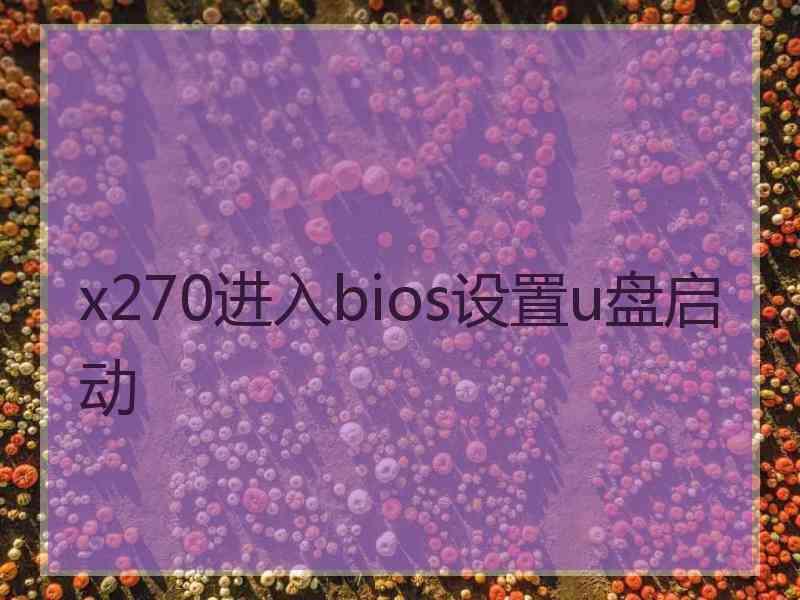 x270进入bios设置u盘启动