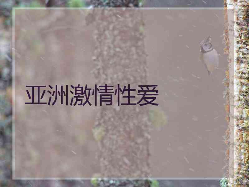 亚洲激情性爱