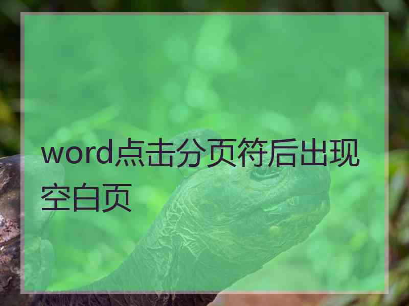 word点击分页符后出现空白页