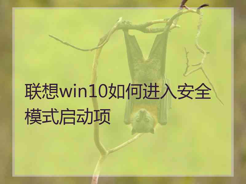 联想win10如何进入安全模式启动项