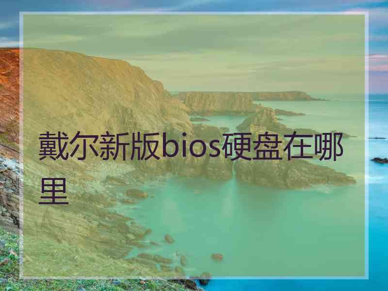 戴尔新版bios硬盘在哪里