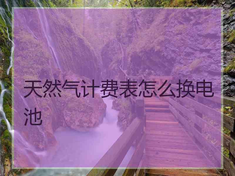 天然气计费表怎么换电池