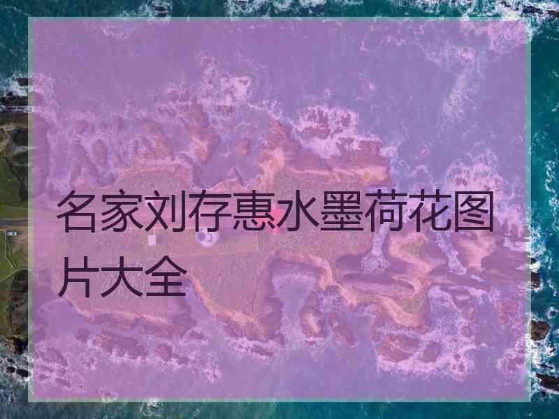 名家刘存惠水墨荷花图片大全