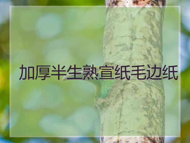 加厚半生熟宣纸毛边纸