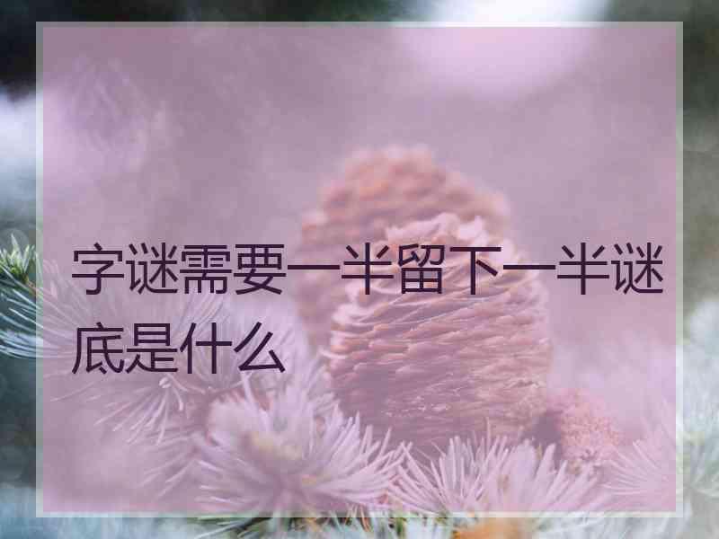 字谜需要一半留下一半谜底是什么